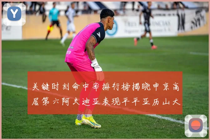 关键时刻命中率排行榜揭晓申京高居第六阿夫迪亚表现平平亚历山大与康宁汉姆紧随其后